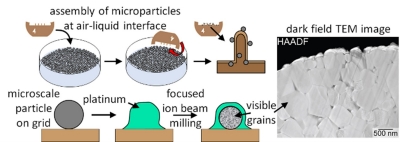 Atomic-Scale Characterization of Microscale Battery Particles Enabled by a High-Throughput Focused Ion Beam Milling Technique