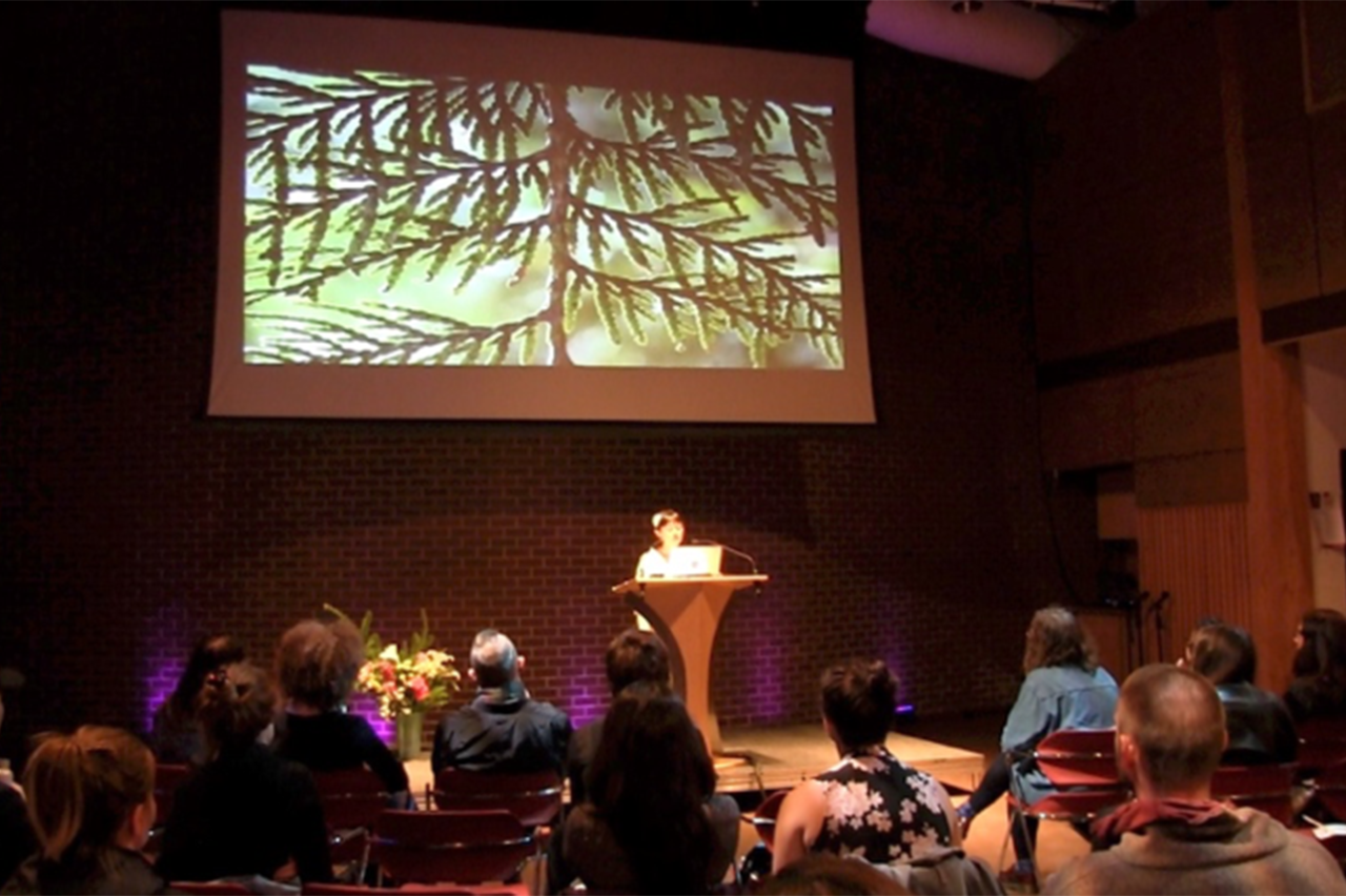 A cedar branch featured in Minah Lee’s presentation at SFU School for the Contemporary Arts’ Through the Tulgey Wood: MA Symposium, 2017, at SFU Goldcorp Centre for the Arts, Unceded Coast Salish Territories.