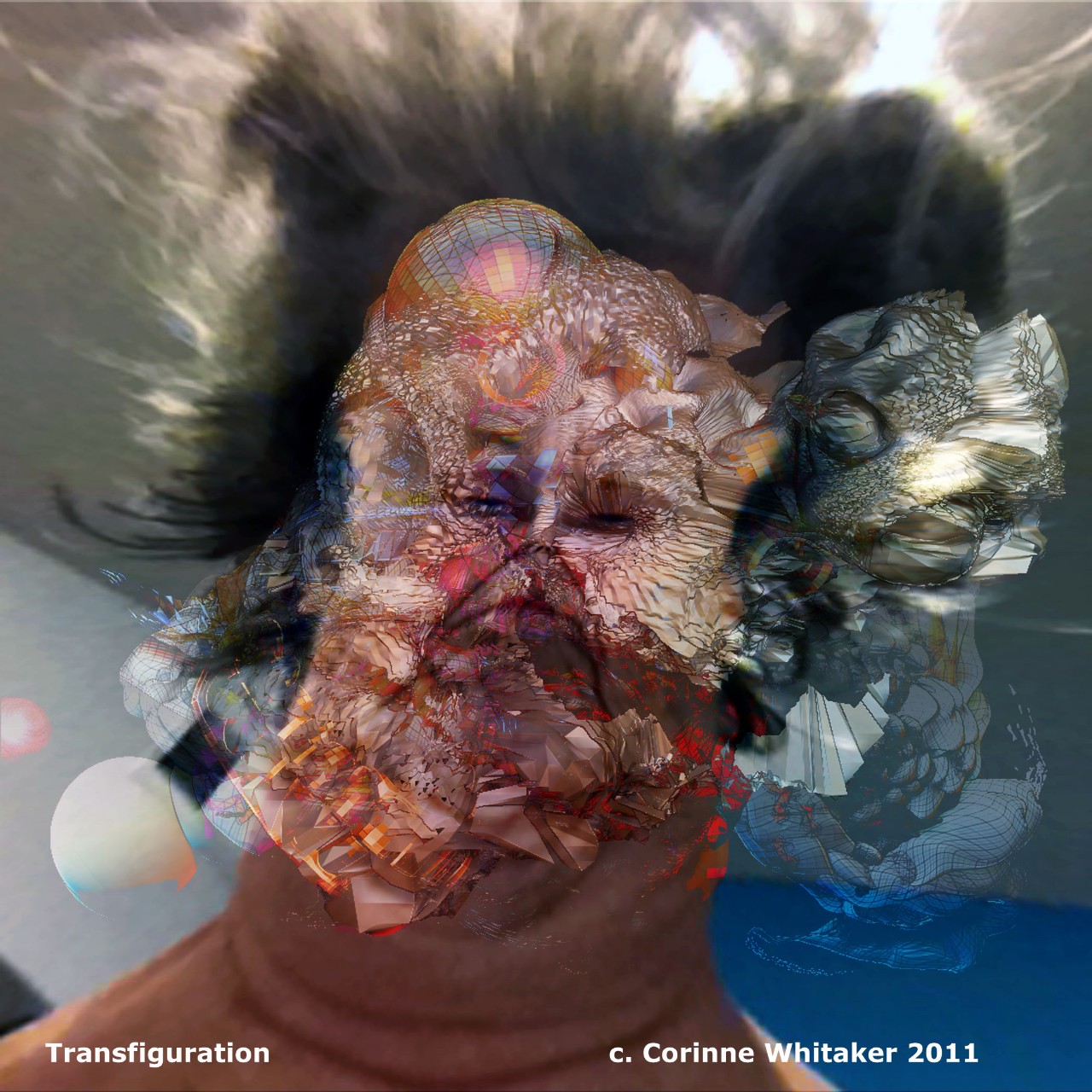 Transfiguration (No More War series), Corinne Whitaker, Digital painting, 2011
