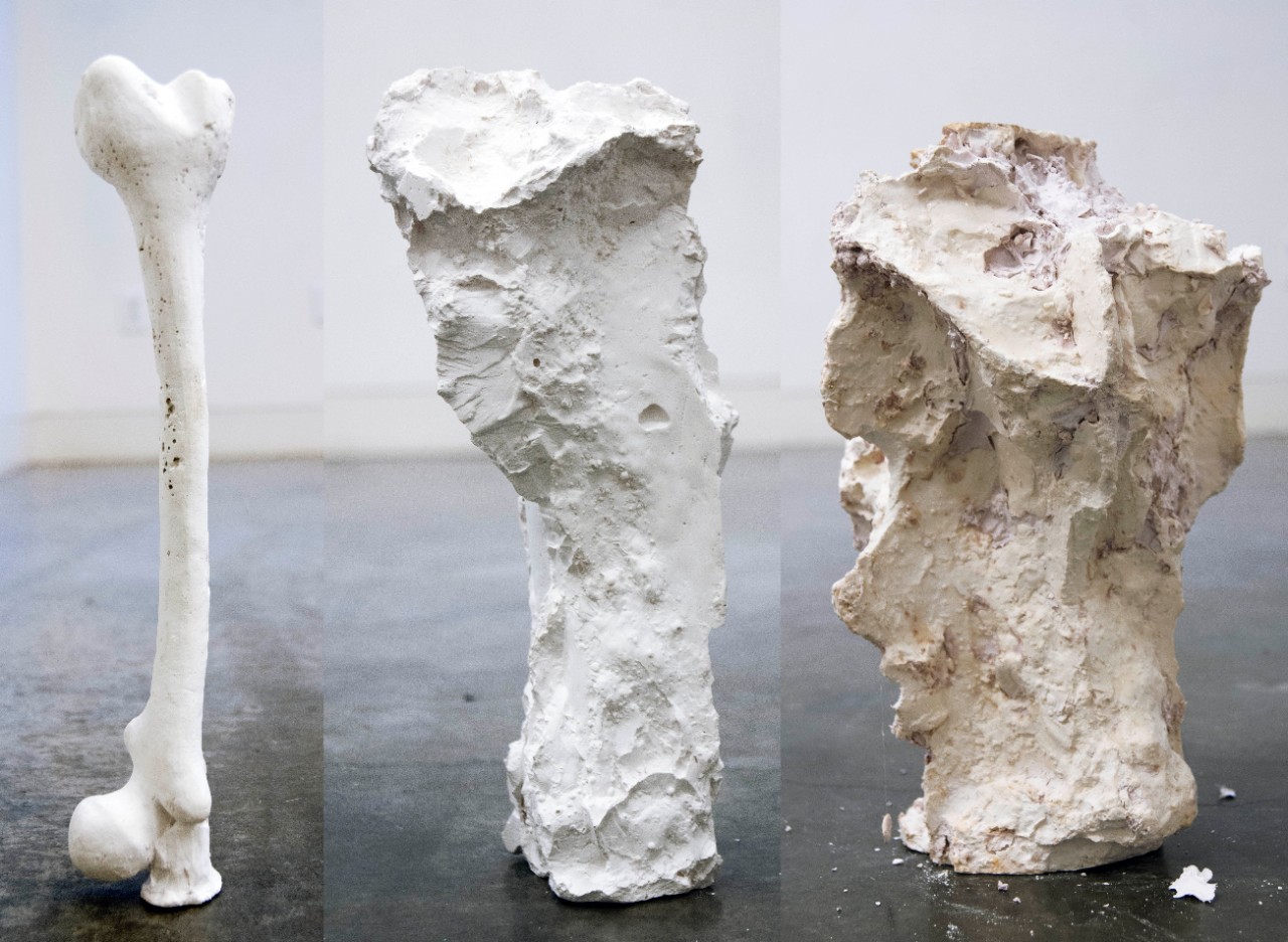 Untitled (bones), Nicole Clouston, series 2014/2015