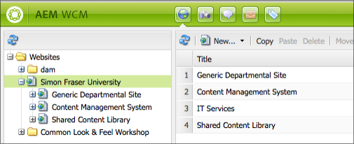 WCM Management Structure