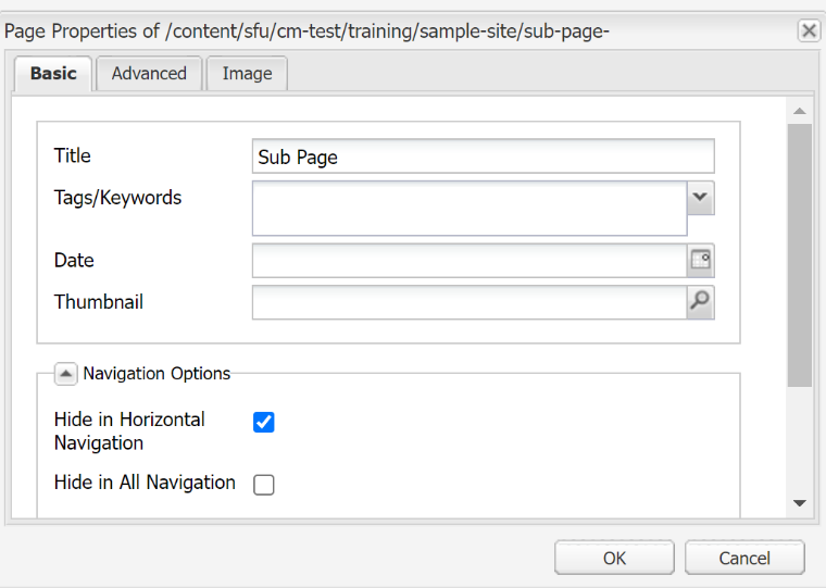 The navigation option "Hide in Horizontal Navigation" is selected in Page Properties  