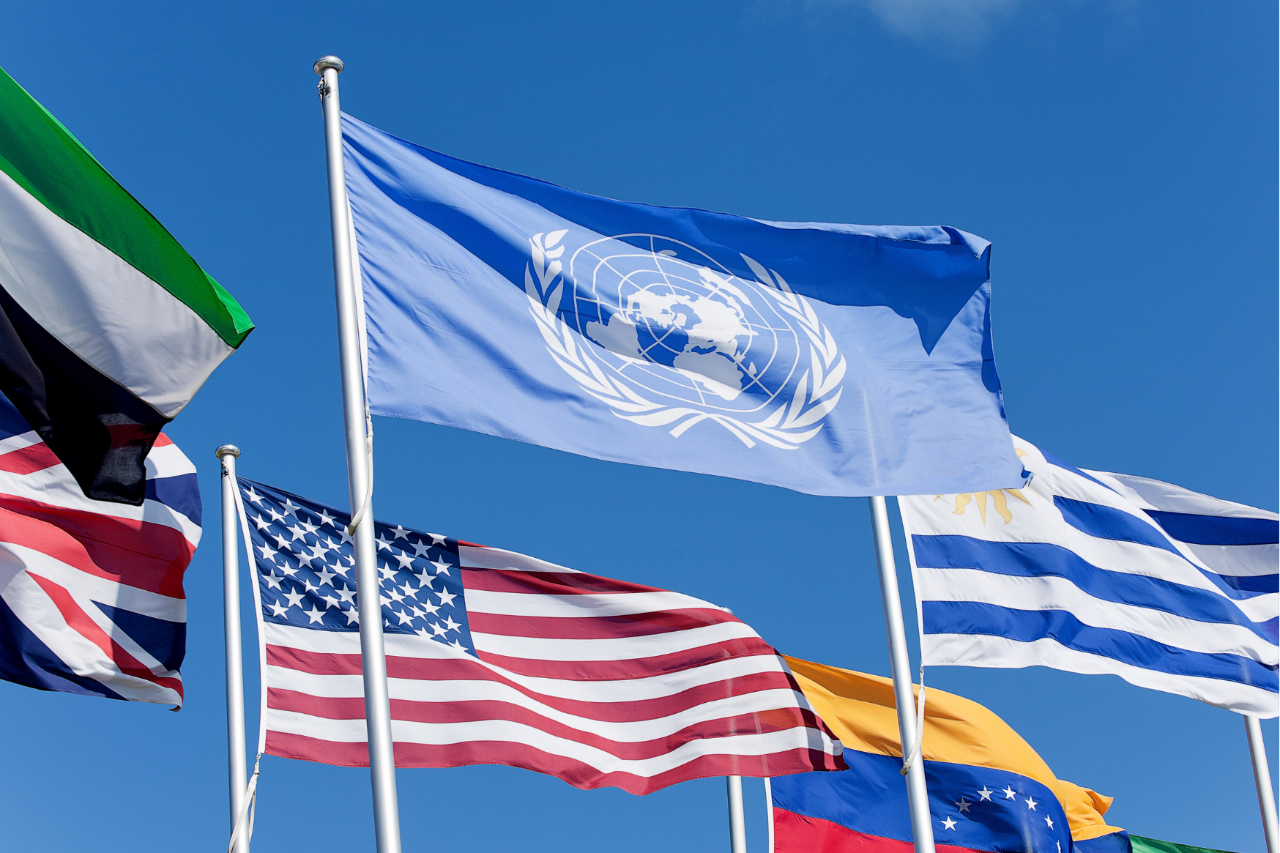Flags blowing in the wind: UN, USA, UK, United Arab Emirates, Venezuela, Uruguay
