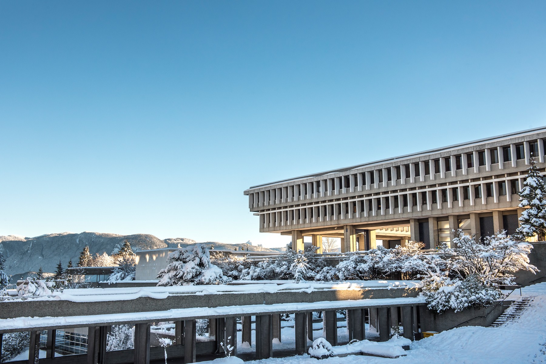 An image of SFU's Burnaby Campus AQ, with trees and roof blanketed in snow.