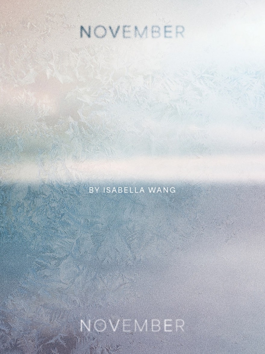 "November, November" is the book title; background of pastel colours