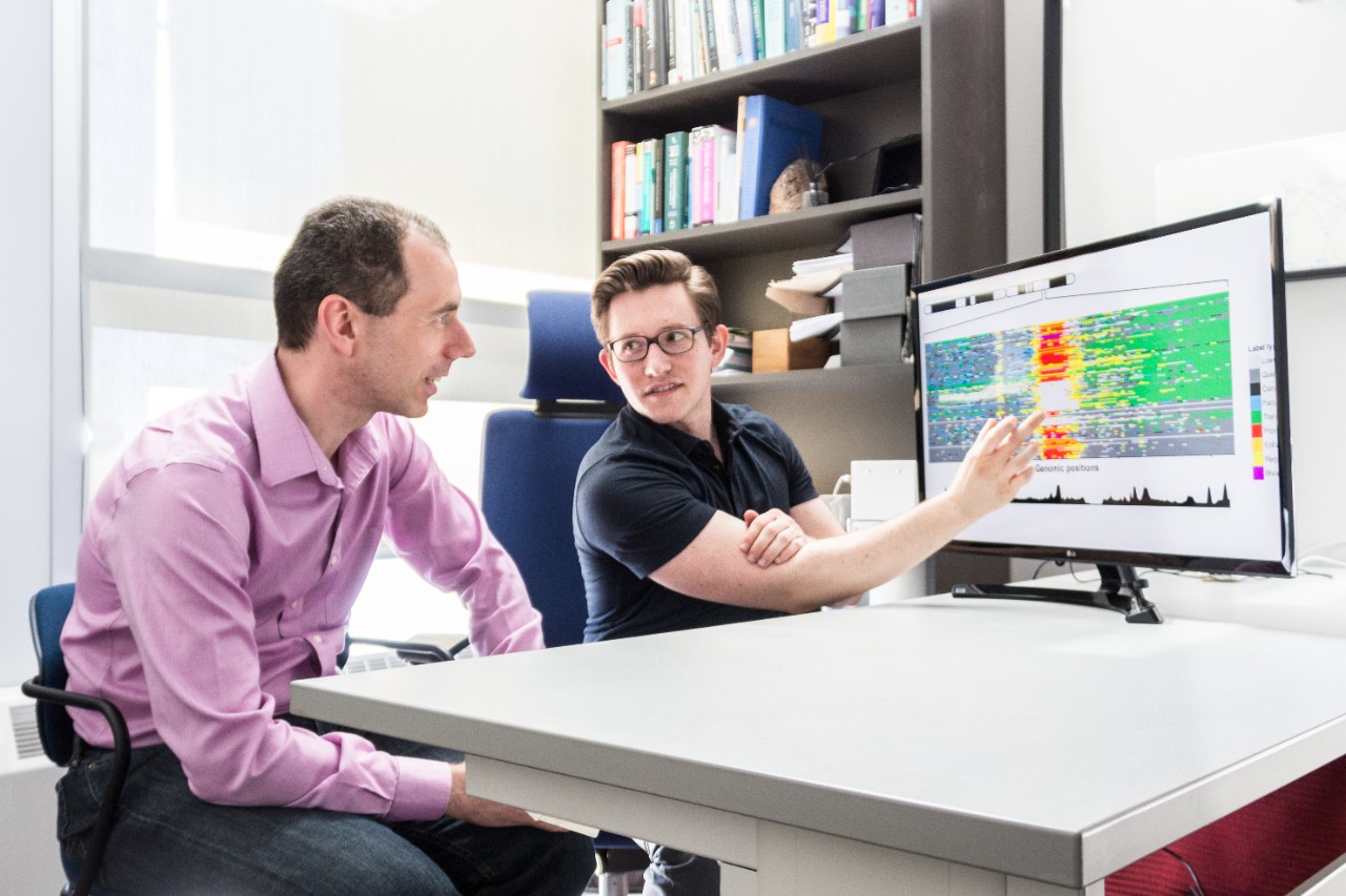 Professors Chindelevitch and Libbrecht are studying the genome of drug-resistant tuberculosis with artificial intelligence.
