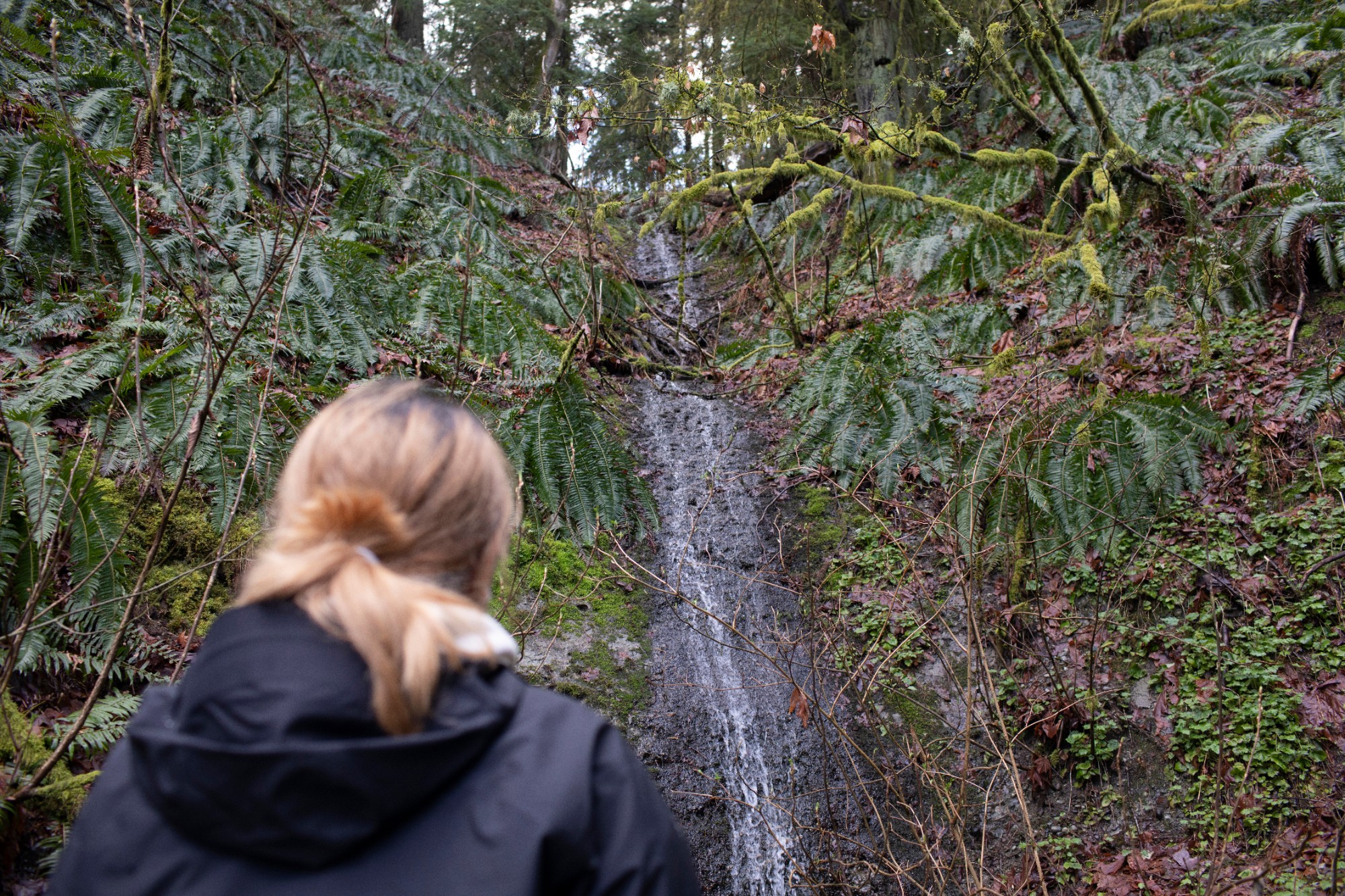 SFU Environemnt 2023