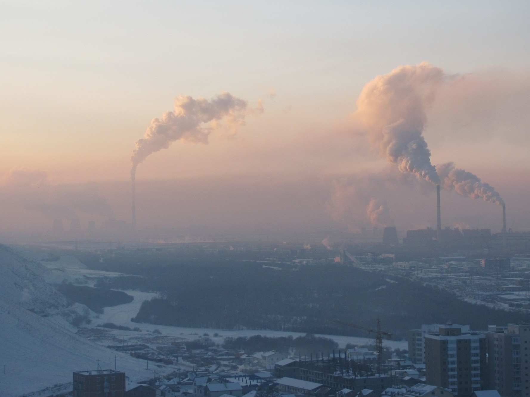 Reducing air pollution can support healthy brain development: Study