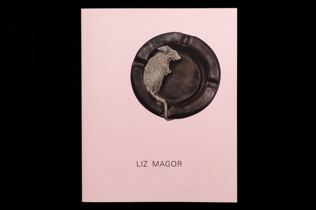 Liz Magor: The Mouth and other storage facilities