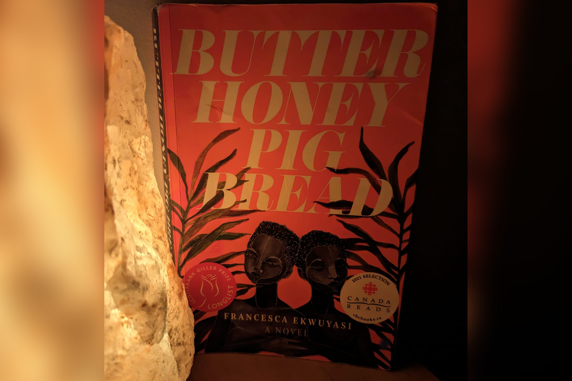 A copy of Butter Honey Pig Bread by Francesca Ekwuyasi