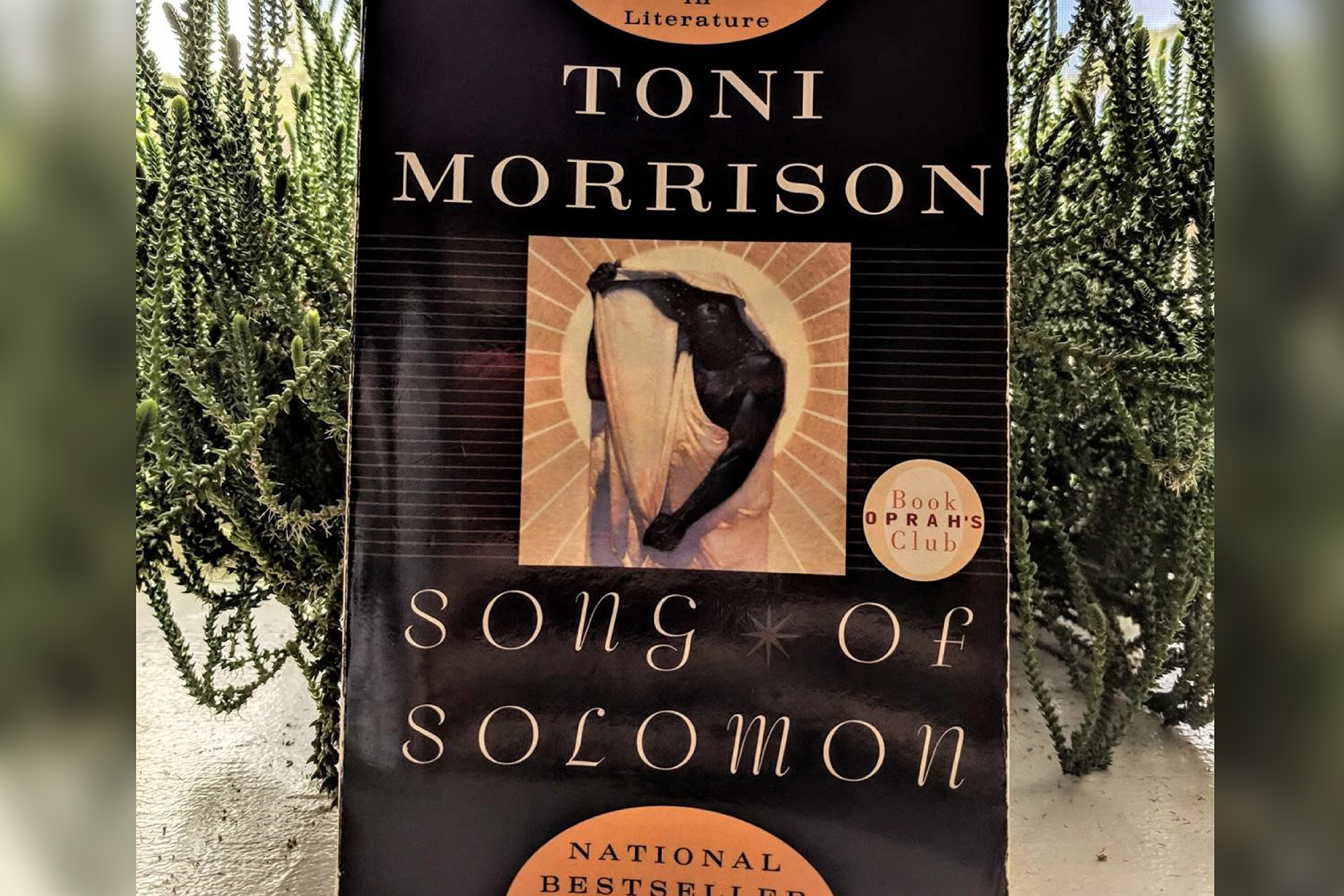 A copy of "Song of Solomon" by Toni Morrison