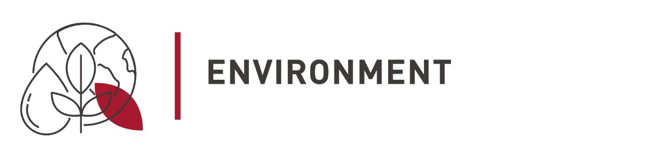 Environment Sample Job Description