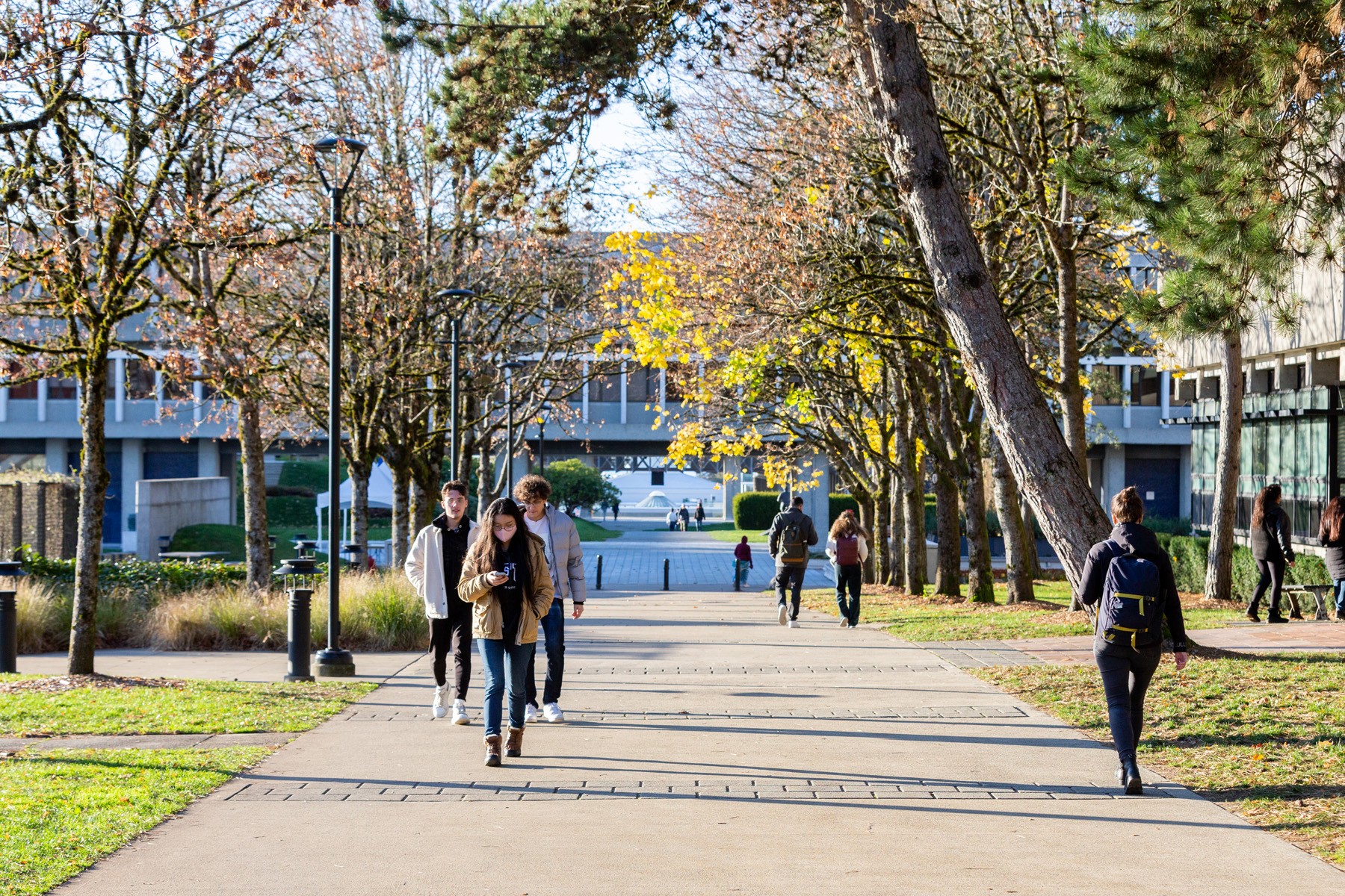 In response to the Accessible BC Act and to meet the goals of the Equity Compass, SFU is creating it first pan-university Accessibility Committee