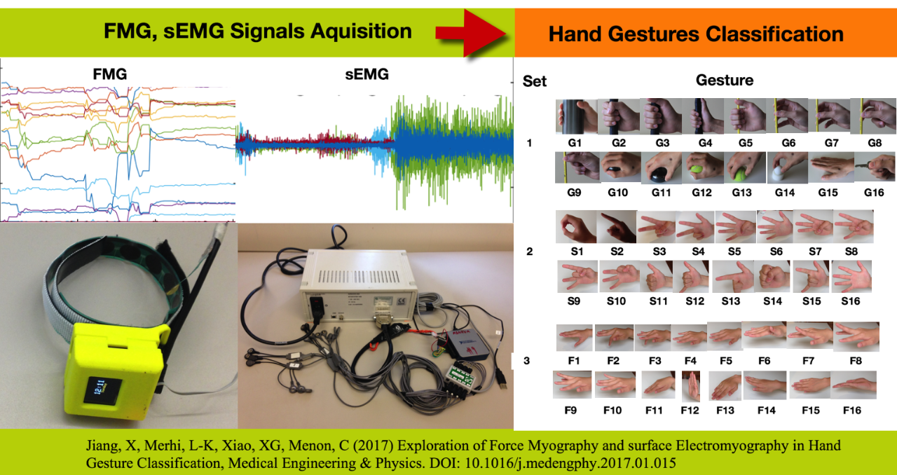 Exploration of Force Myography and Surface Electromyography in Hand Gesture Classification