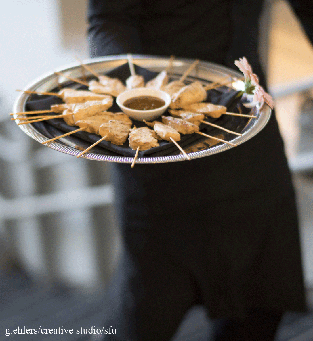 nanolytica 2016 - networking 1.jpg