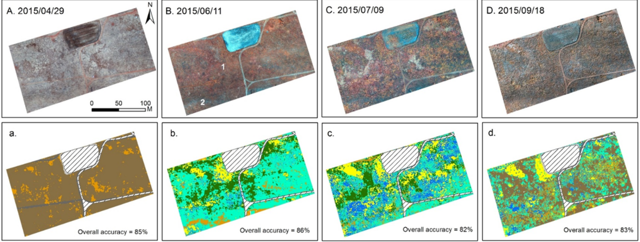 UAV Images (upper) and Species Classification Maps (lower)
