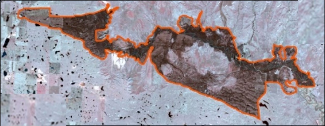 Satellite Image Showing Burned Area