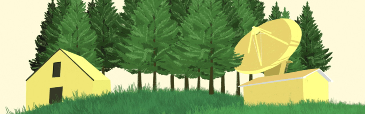 Illustration of two yellow houses in front of a forest with an oversized satellite dish.