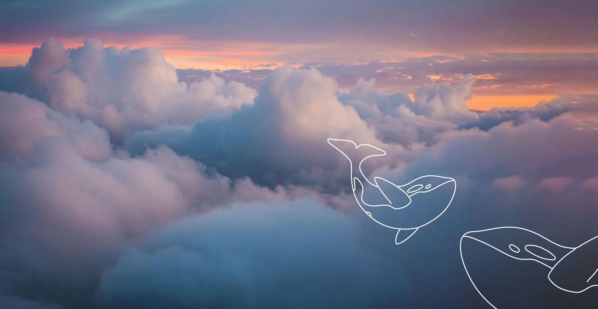 A pink and blue hued sunset with clouds. An overlay graphic of a two dolphins. 