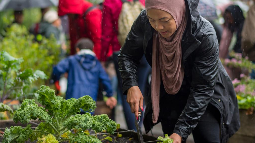 SFU Food Sustainability Researcher Tackles Food Security Issues