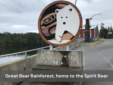 Great Bear Rainforest, home to the Spirit Bear