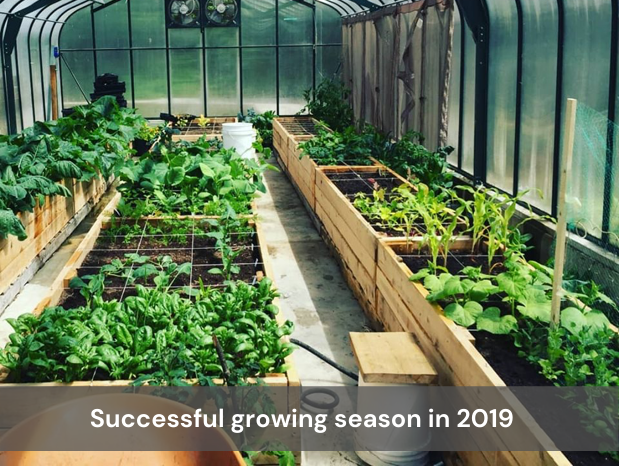 Successful growing season in 2019 