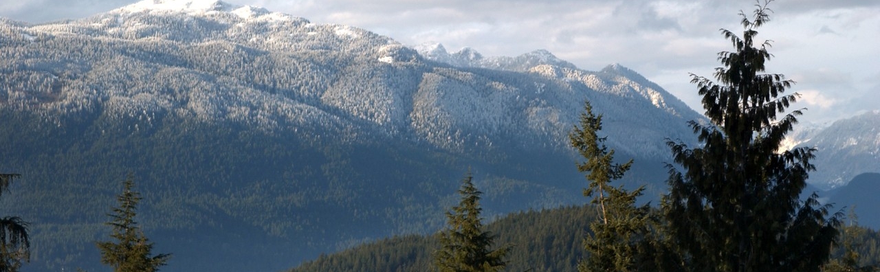 Creative Services Photography