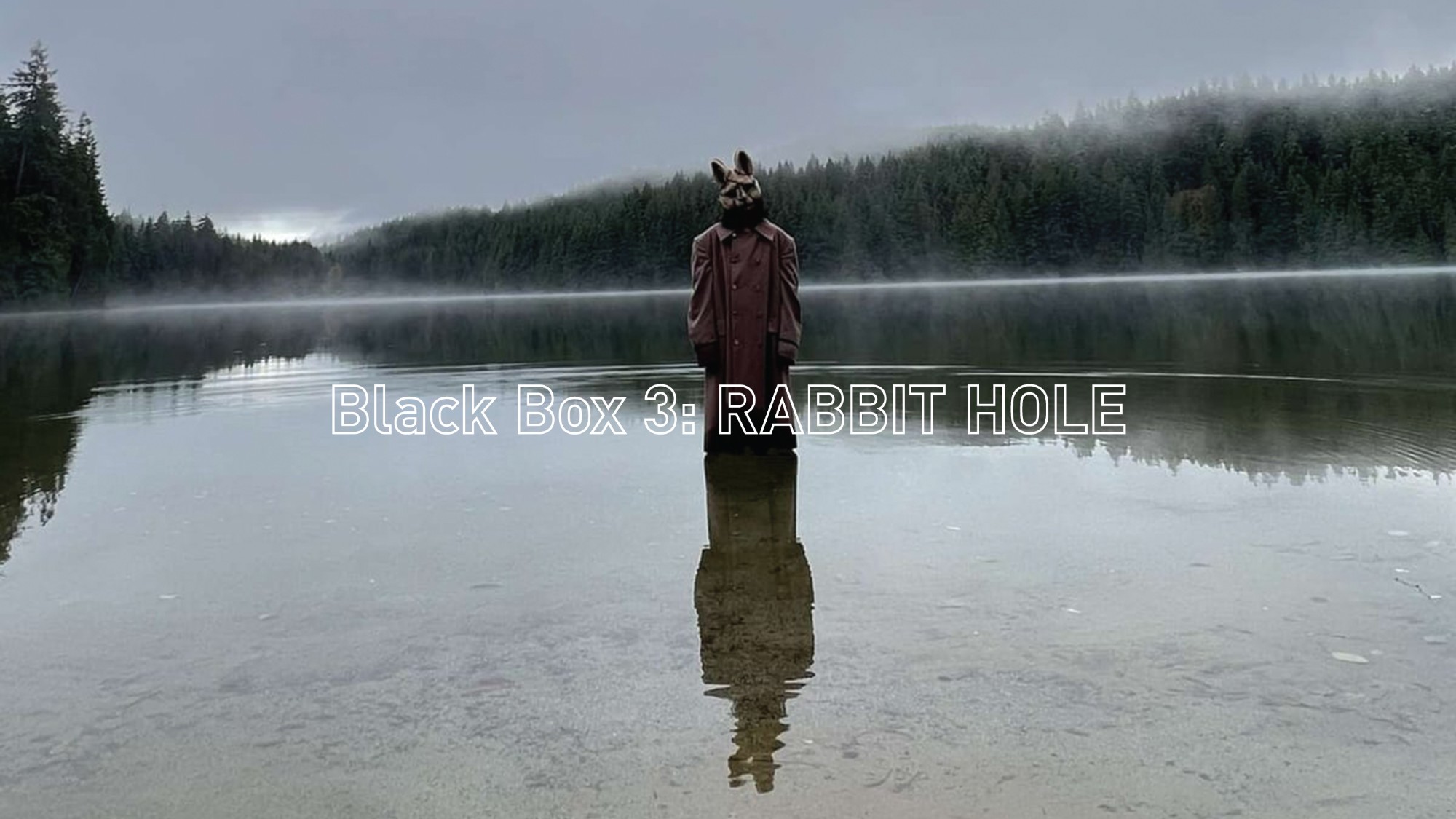 Black Box 3: RABBIT HOLE