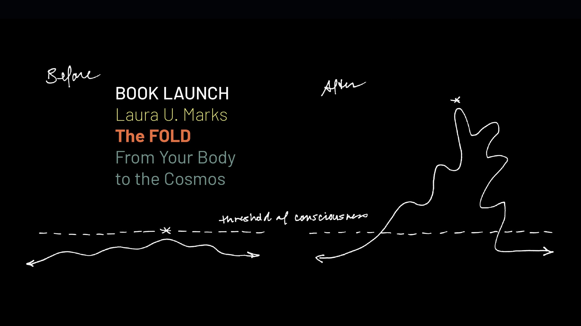 Book Launch: Laura U. Marks' The Fold