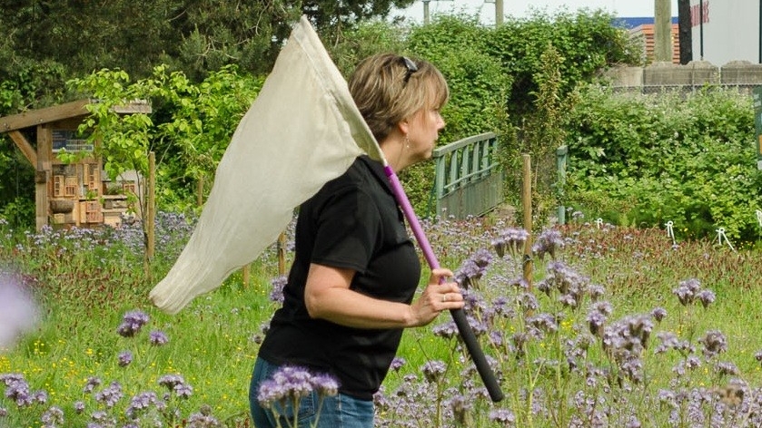 Dr. Elizabeth Elle in a flower field with a giant net