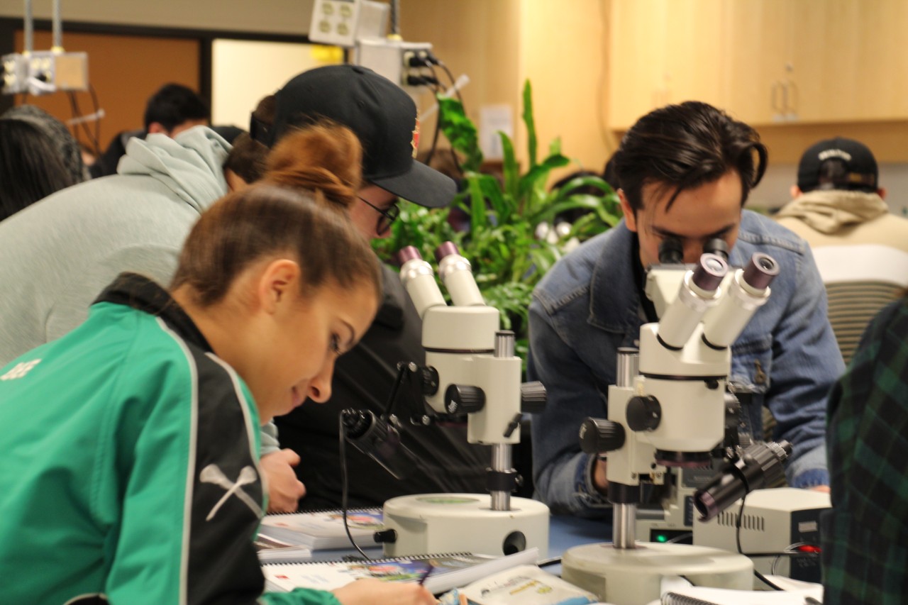 Life Under the Microscope, children using a microscope