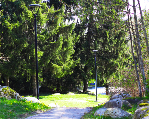 Trail with trees, rocks, and light poles.