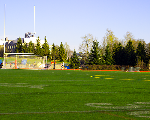A large grass field where sports can be played