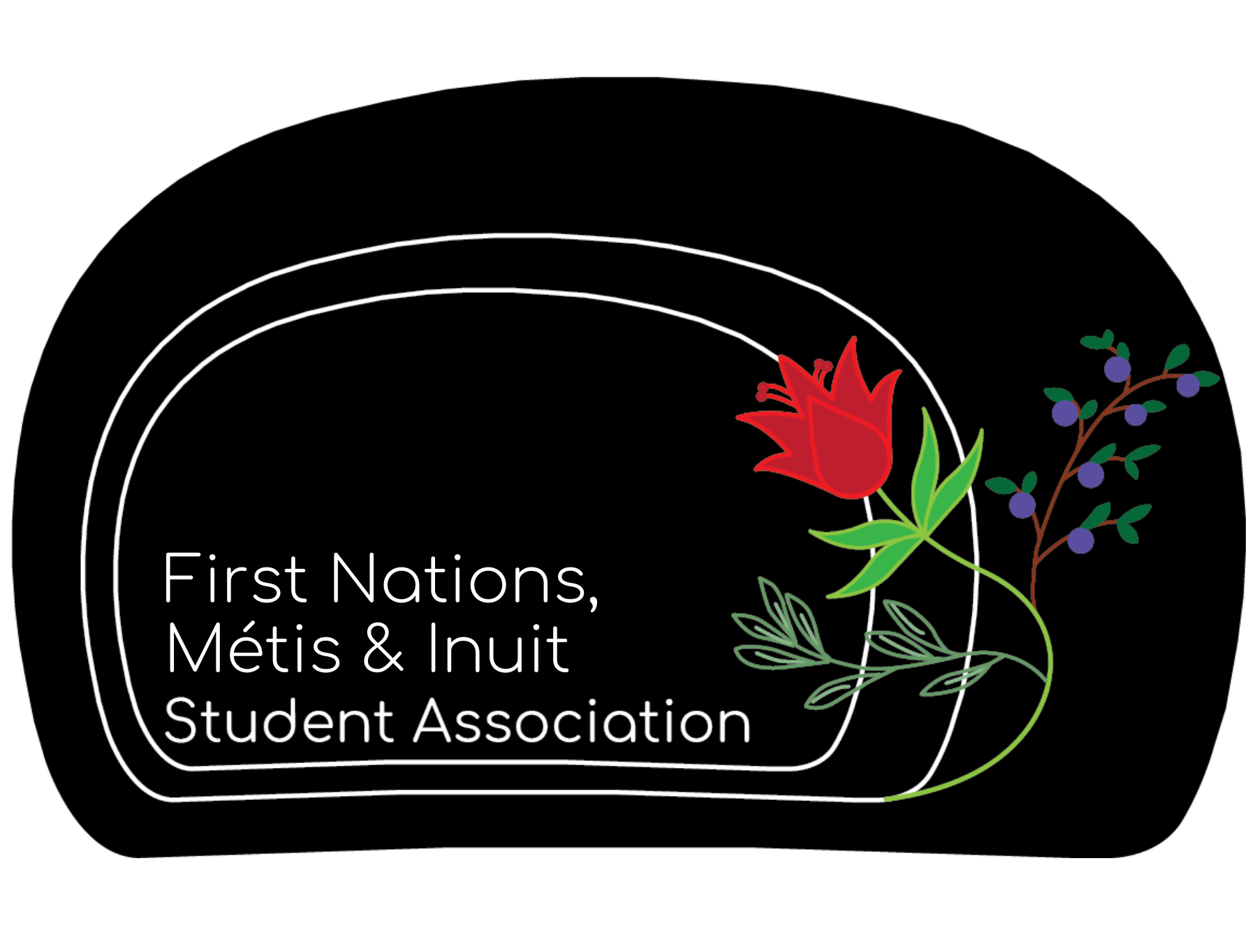 FNMISA Logo