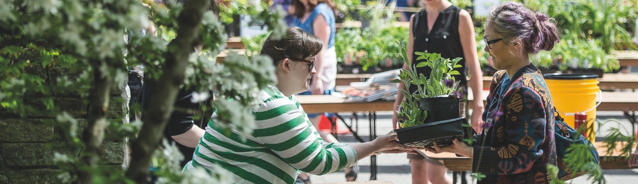 Woman handing plants at market to another woman