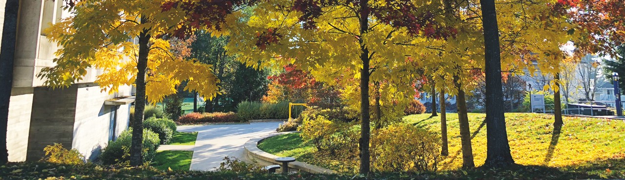 Photo of a courtyard by Barbara Rae in the fall