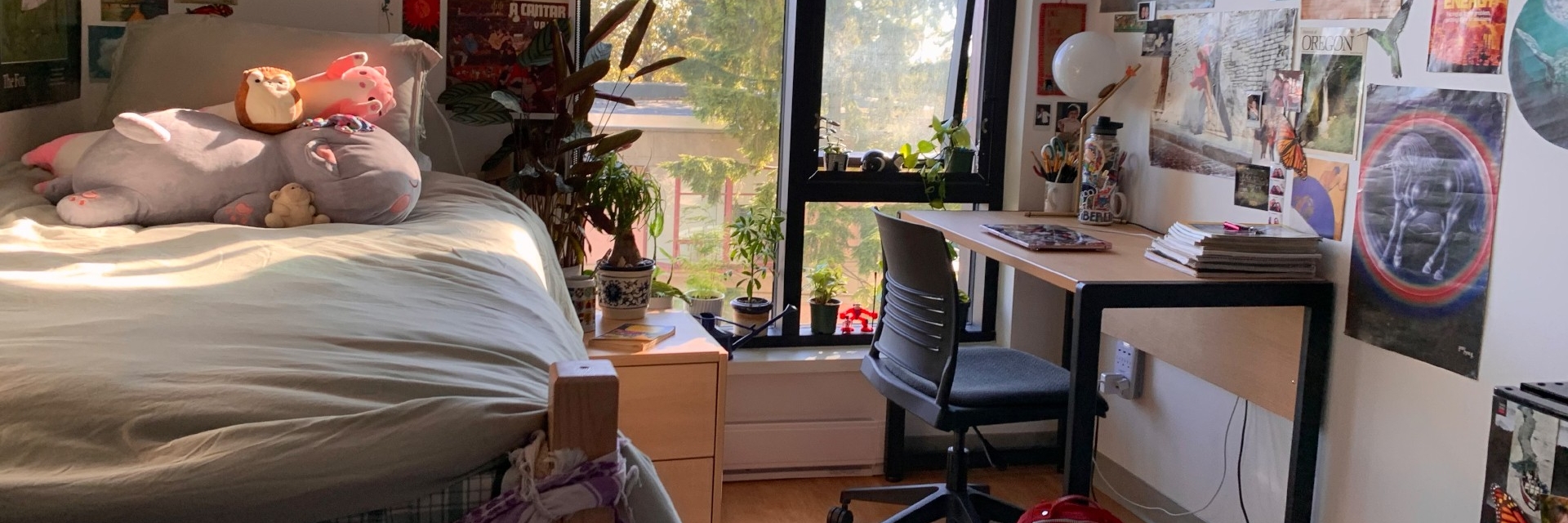 Two SFU residents looking at content insurance website on their phone. 