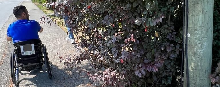 A participant in a wheelchair on a sidewalk next to overgrown bushes from adjacent yard.