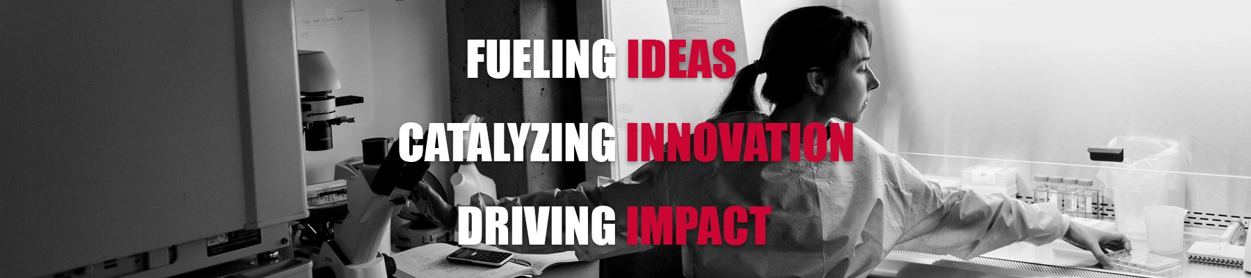 Fueling ideas, catalyzing innovation, driving impact