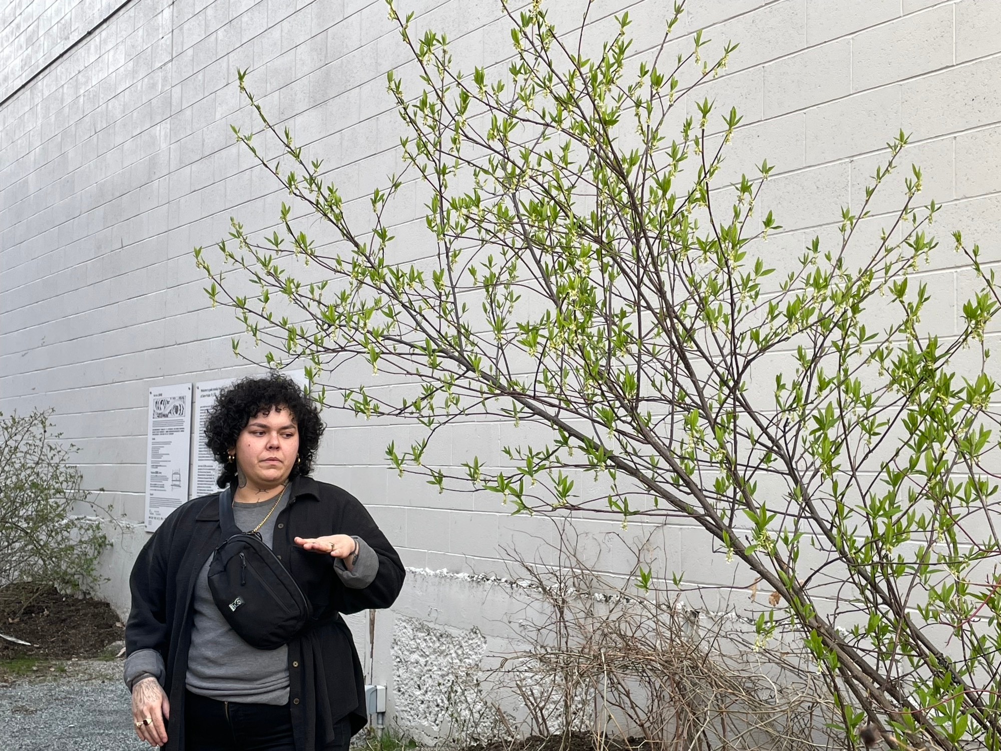 Jaz Whitford stants next to a plant in New Growth at Semi Public
