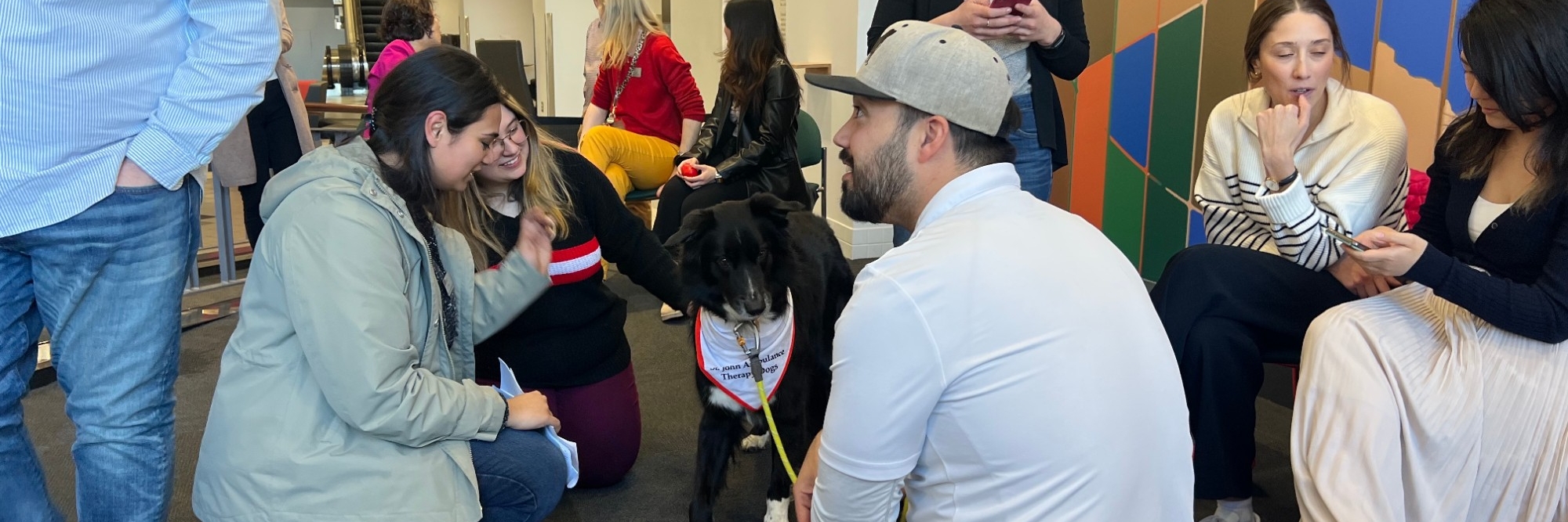 A crowd of people enjoying visiting with a black and white dog wearing a St. John's Ambulance bandana at a Dog Therapy event 