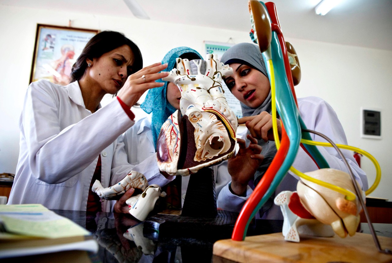 Nurses learning about the human body in a training program