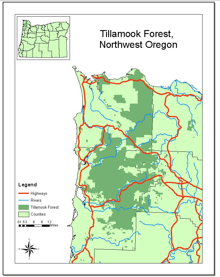 Tillamook forest