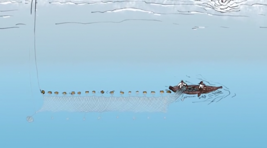 small number and the salmon harvest