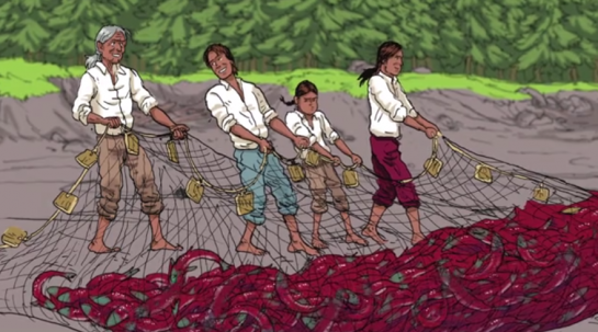 small number and the salmon harvest