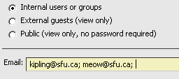Internal users email address