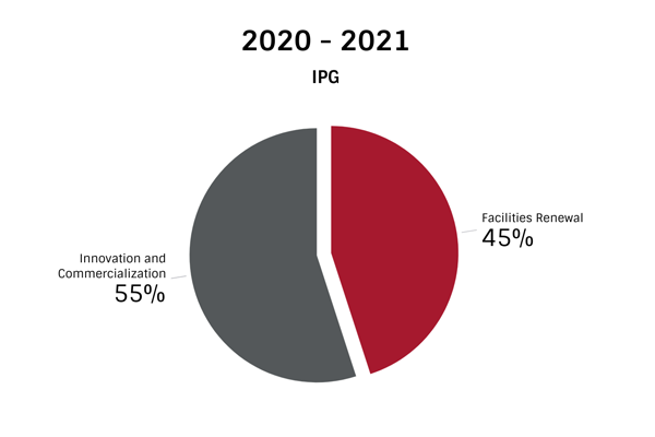 IPG 2020-2021 Pie Chart