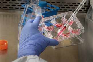 Researcher using test tubes in a lab. 