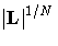 {{|{L}|}^{1/N}}