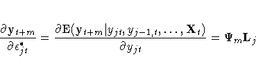\frac{\partial y_{t+m}}{\partial \epsilon_{jt}^*} =
\frac{\partial{\rm E}(y_{t+m}| y_{jt},y_{j-1,t}, ... ,X_t)}
{\partial y_{jt}} = \Psi_m L_j